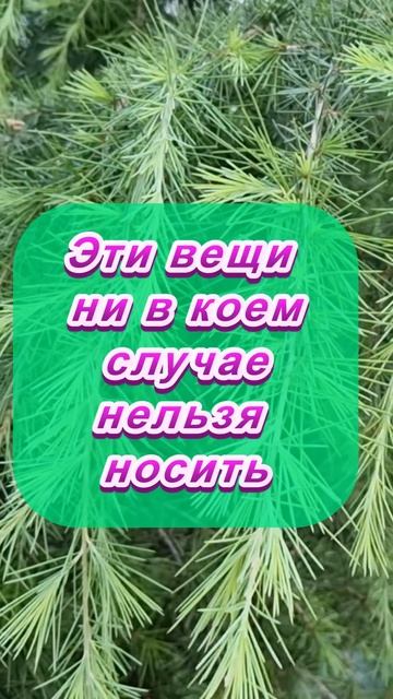 Эти вещи нельзя носить по народным приметам смотреть онлайн
