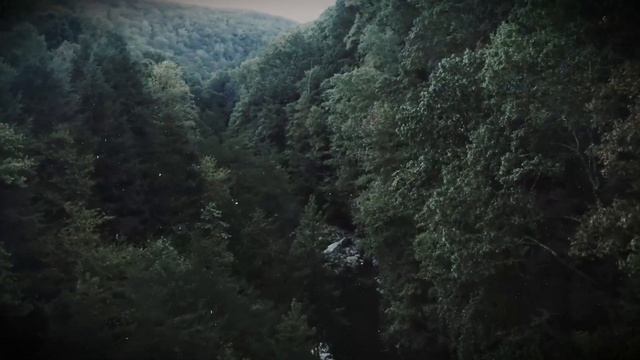 Рейнджер Парка делает УЖАСНОЕ ОТКРЫТИЕ в Олимпийском