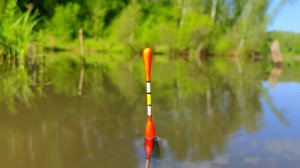 ОЧЕНЬ УЛОВИСТАЯ ПОПЛАВОЧНАЯ СНАСТЬ. КРУПНЯК ПОДОШЁЛ НА ПРИКОРМКУ