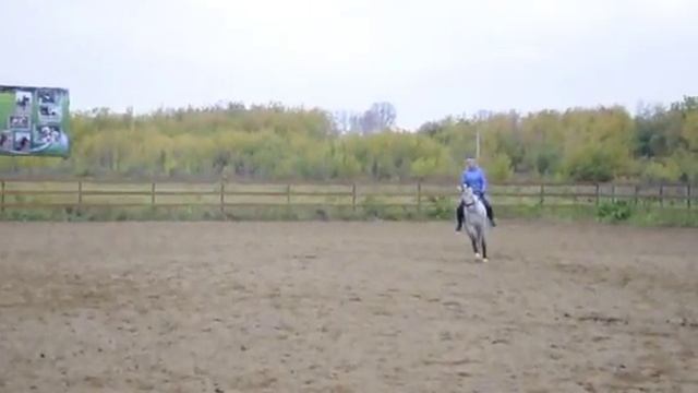 галоп/менки смотреть онлайн