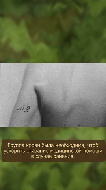 Что означали татуировки в СС и Вермахте, и почему немцы от них избавлялись? смотреть онлайн