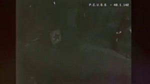 Клип песня про Бокси бу пародия:ЛМ