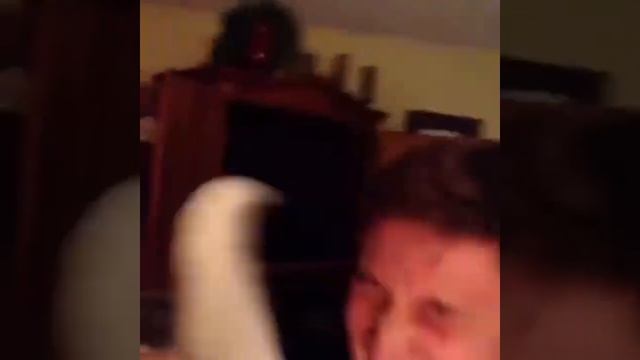 ЗАСМЕЯЛСЯ ПРОИГРАЛ|ТЕСТ НА ПСИХИКУ|ПРИКОЛЬНЫЕ ЖИВОТНЫЕ:D