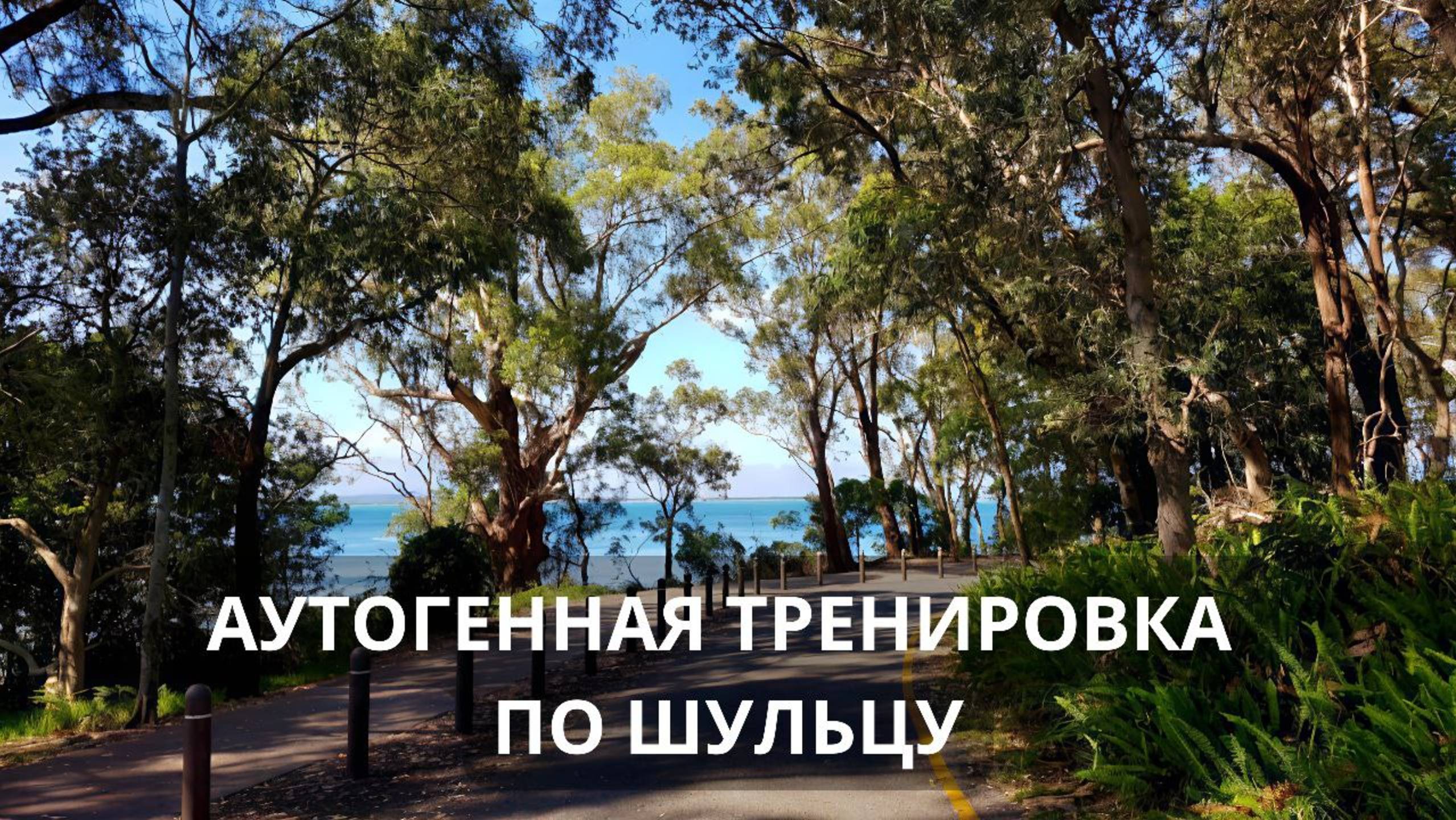 Аутогенная тренировка по методу И.Шульцу. Полная версия: все этапы. смотреть онлайн