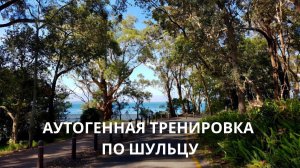 Аутогенная тренировка по методу И.Шульцу. Полная версия: все этапы.