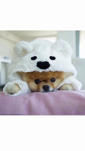 1 моё первое смонтированное видео