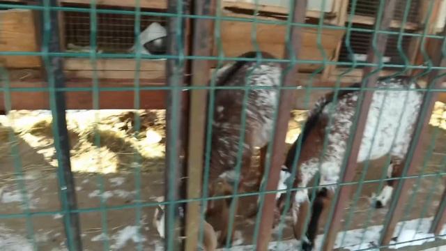 Рукодельный влог #16 | Новые носки на спицах | Продвижения джемпера | Набор тканей смотреть онлайн