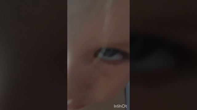 InShot_20250525_103602104.mp4 смотреть онлайн