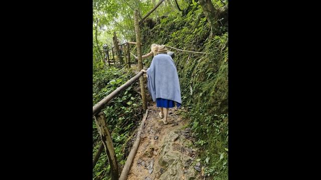 Флора и Фауна Кубы. Заповедник. Die Flora und Fauna von Cuba. Naturschutzg смотреть онлайн