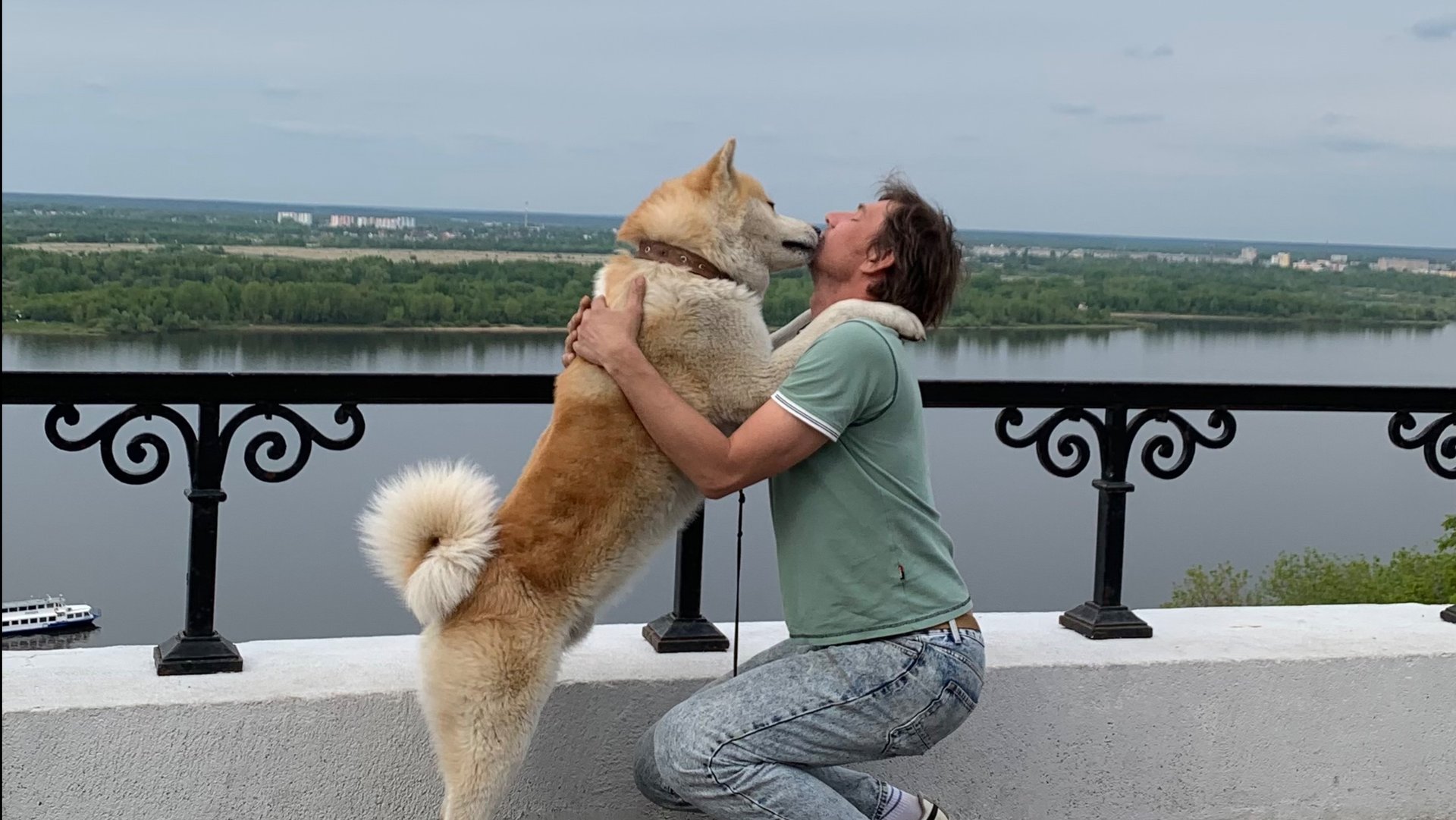 Акита Ину- лучшая в мире собака.