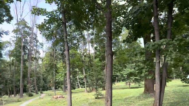 Поездка!Выходной!Богородицк!6 августа 2024 г. смотреть онлайн