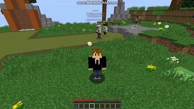 играю у скайварс на рили ворлд