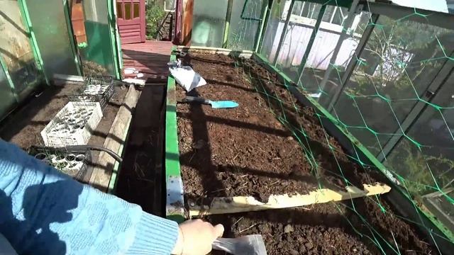 Высаживаем ранние огурцы в парник смотреть онлайн