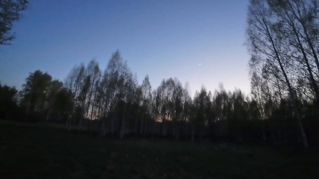 Третий день на вальдшнепинной тяге 2025 г. смотреть онлайн