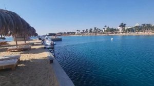 Египет зимой 2025 г. Хургада. Пляж отеля Sindbad club 4*