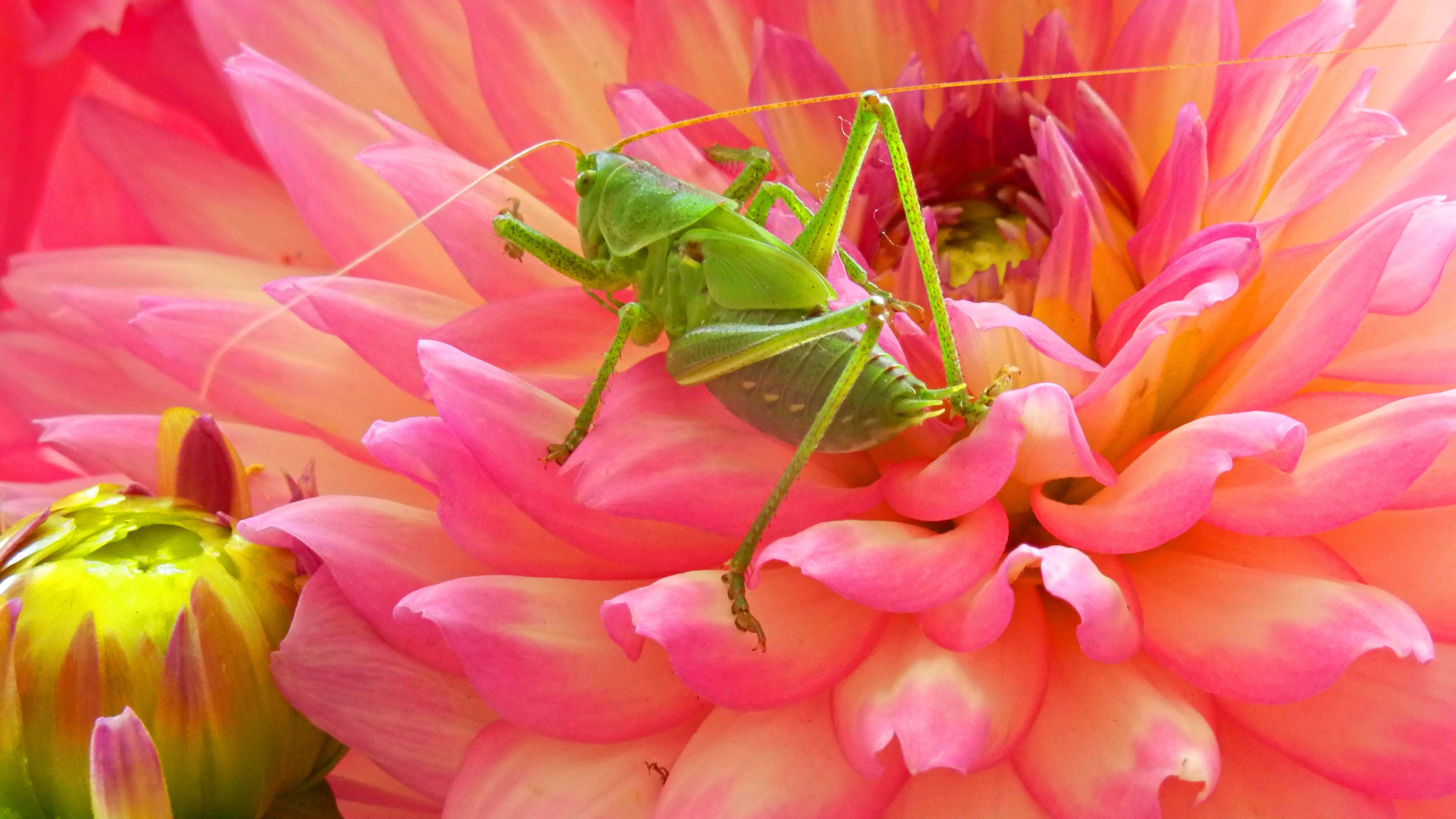 Поездка смотреть онлайн