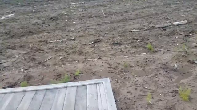 беседка в глуши г мегион смотреть онлайн