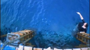 Коралловый риф возле отеля SHARM GRAND PLAZA RESORT 5, бухта Набк ?