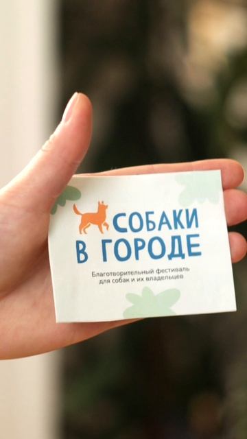 Уже скоро! Фестиваль «Собаки в городе» смотреть онлайн
