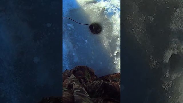 Мормышинг в лунке опять спасает от нуля. Зимняя рыбалка. Глухозимье. Беби танта. Безмотылка. Смешно! смотреть онлайн