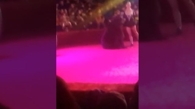 Мой первый цирк смотреть онлайн