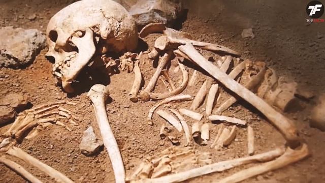 Вы Должны Это Увидеть! Это Открытие в Пещере ИСПУГАЛО ? смотреть онлайн