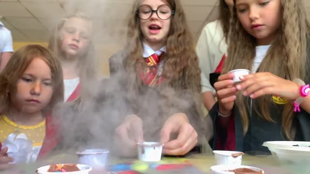 Harry Potter BirthDay Party! Super Sofi смотреть онлайн