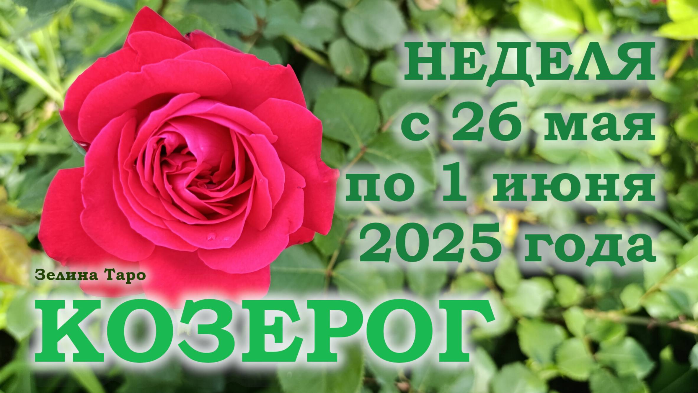 КОЗЕРОГ | ТАРО прогноз на неделю с 26 мая по 1 июня 2025 года