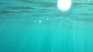 Севиль Океан