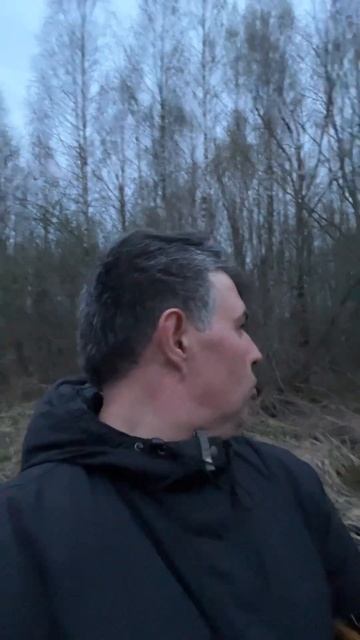 Как прошло открытие и пару слов о гусе. Весенняя охота 2024. Вечерняя тяга. смотреть онлайн