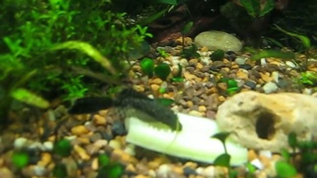 Изображение 143 смотреть онлайн