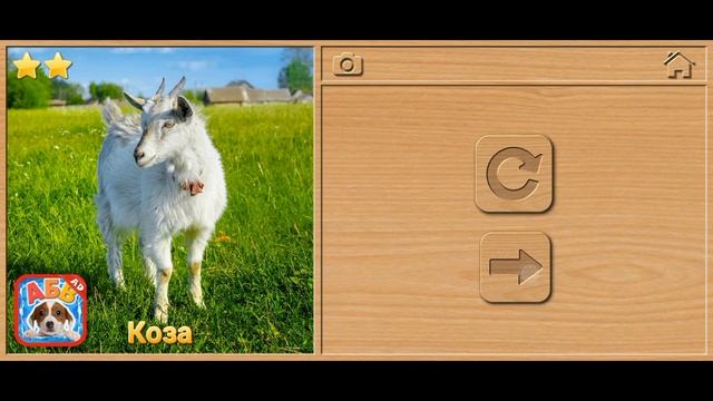 Развивающий мультфильм для детей Пазлы ( познавательный мультик для малышей).МУЛЬТФИЛЬМЫ смотреть онлайн