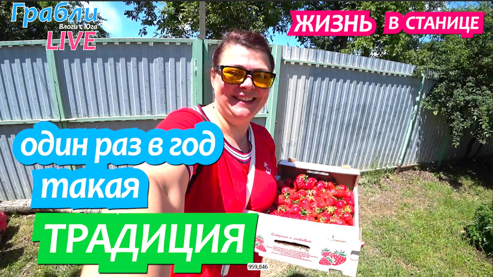 914 серия 24 мая 2025. Купили ящик клубники. Отмечаем. Жизнь в своем доме на Юге станица Динская смотреть онлайн