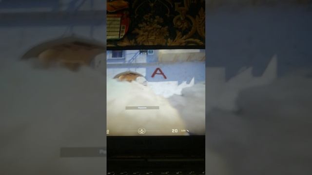 Раскидки на мираже