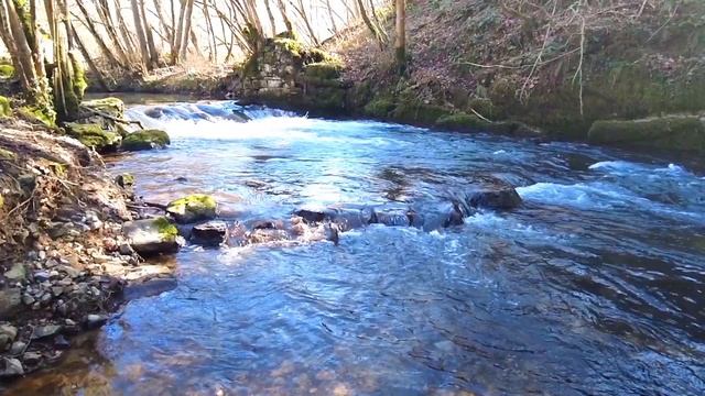 1 Час Звуков Природы для Релаксации. Расслабляющий Зву