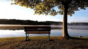 ТАМ, ГДЕ КЛЕН ШУМИТ