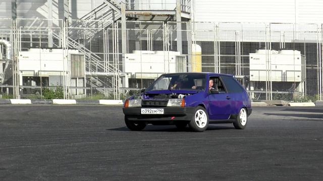 Тонированный кабан