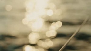 Черногория 2025 ТОП 5 Лучшие отели для отдыха на первой л