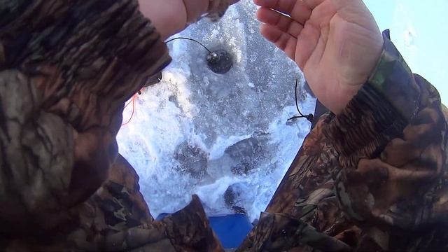 Мормышинг в лунке. Зимняя рыбалка. Февраль 2025. Окунь, ёрш и плотва. Безмотылка в глухозимье. смотреть онлайн