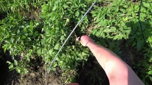 Рыбалка  на паук подъёмник.