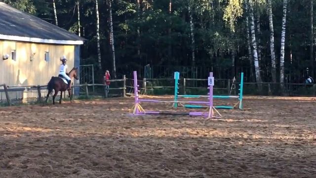 Соревнования 16.09.2017 в КСК Соловьиная Роща. Маршрут 80-100см, Марина и Адмирал смотреть онлайн