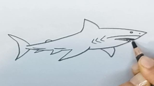 Fish drawing easy step by step!How to draw shark fish@APDRAWING как нарисовать акул смотреть онлайн