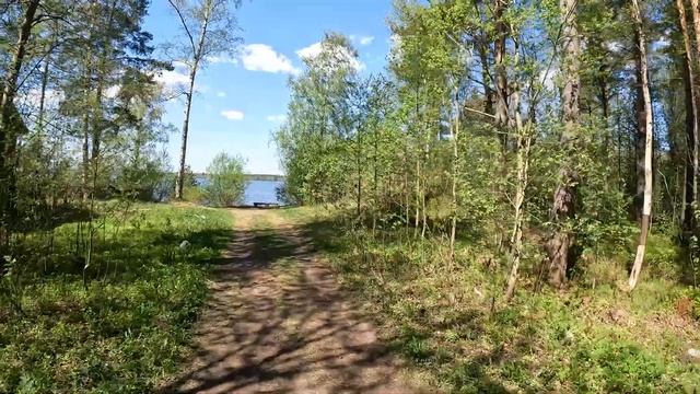 Токсово. Еловые холмы, Курголовская этнотропа смотреть онлайн