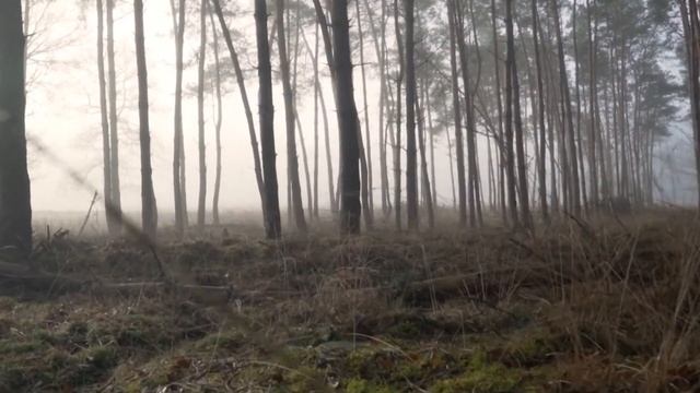НИКТО НЕ УСЛЫШИТ ТВОЙ КРИК. Жуткие горы Аппалачи. Стра? смотреть онлайн