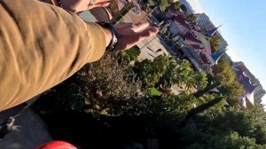 Аттракцион в Сочи Парке, "Вечный двигатель"