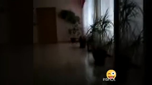 Моя школа и да музыку мало слышно исправлю! смотреть онлайн