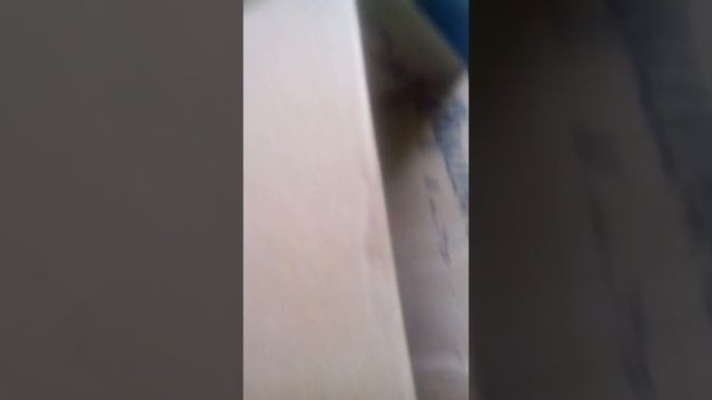 Мои картинки Спаса Большие и маленькие смотреть онлайн