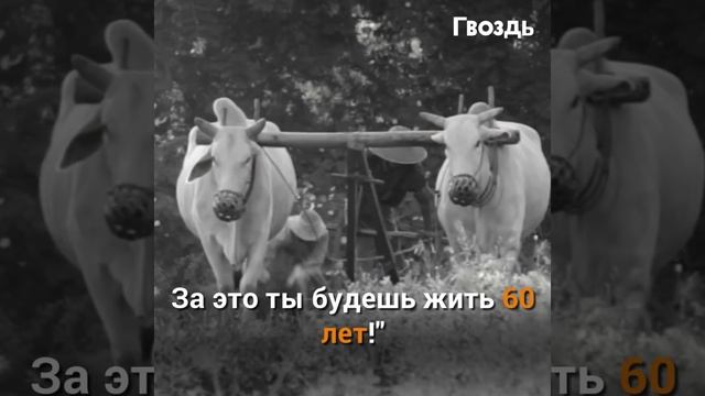 Бог создал человека и разрешил загадать одно желание. И вот что он выбрал... смотреть онлайн
