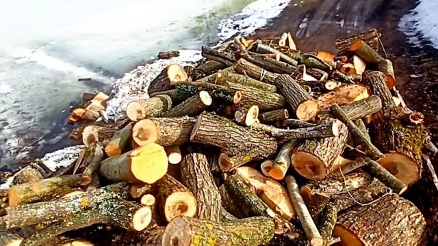 Вывозим дрова с берега озера! Расчистка береговой тер? смотреть онлайн