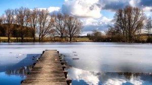 футаж весна